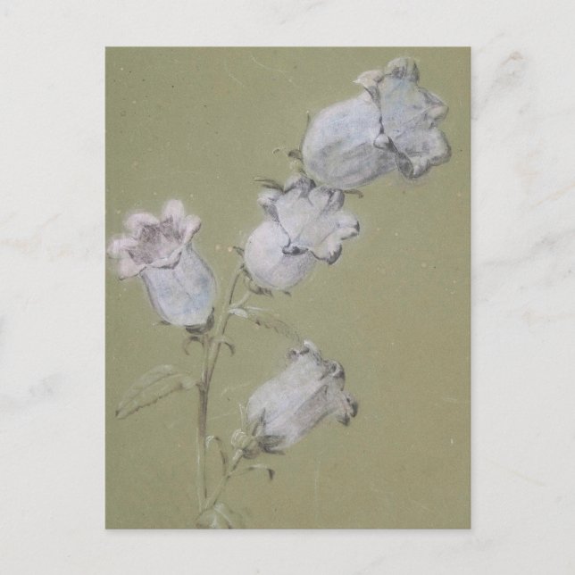 Spray de la carte postale de Canterbury Bells (Devant)