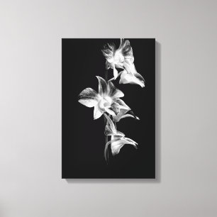 Spray of Orchids in Black and White Canvas Print