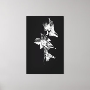 Spray of Orchids in Black and White Canvas Print