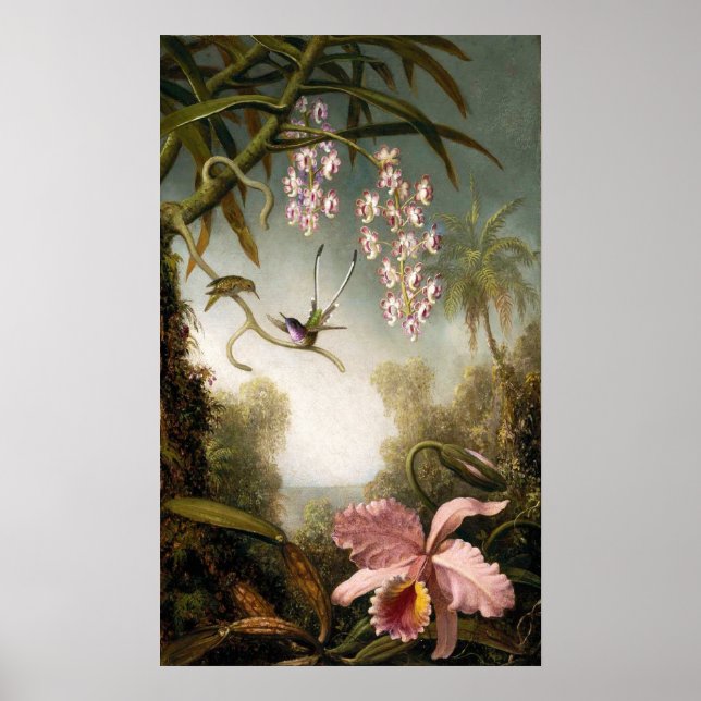 Spray Orchidées avec Poster de colibri (Devant)