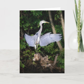 Spread Your Wings Card