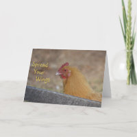 Spread Your Wings Chicken Happy Birthday Card