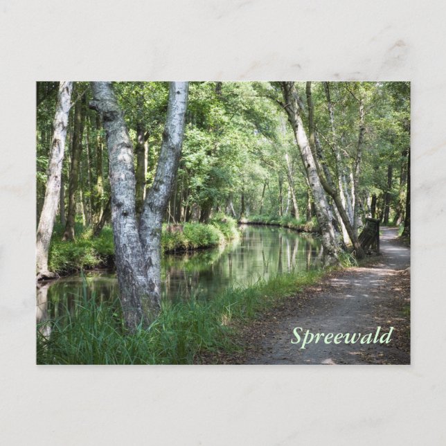 Spreewald Canal Postcard (Front)