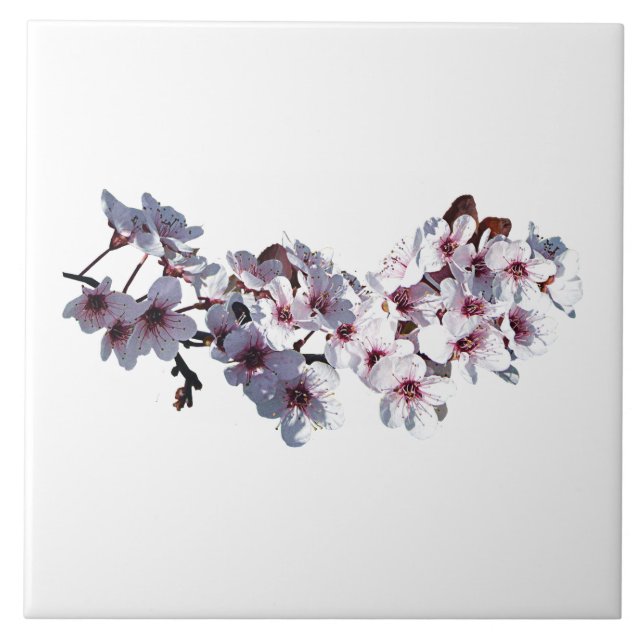 Sprig of Cherry Blossoms Tile (Front)