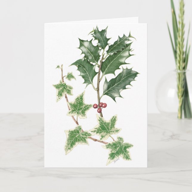 Sprigs Holly et Ivy dans la carte de Noël botaniqu (Devant)