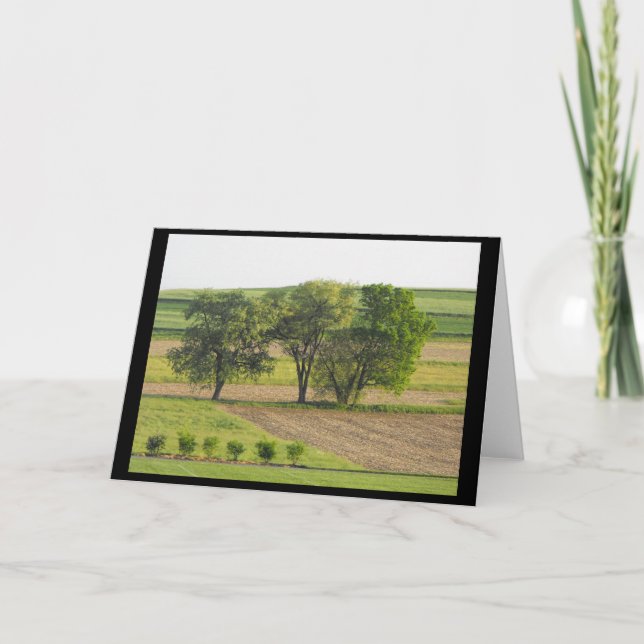 Spring 16 ~ '10 ~ holiday card (Front)