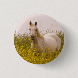 Spring 1 Inch Round Button