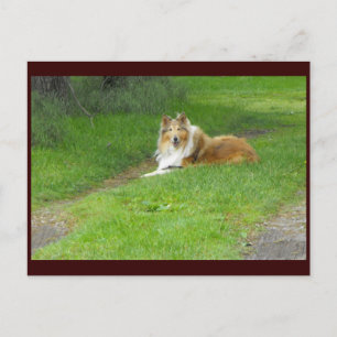 ~ Spring 46 ~ Postcard