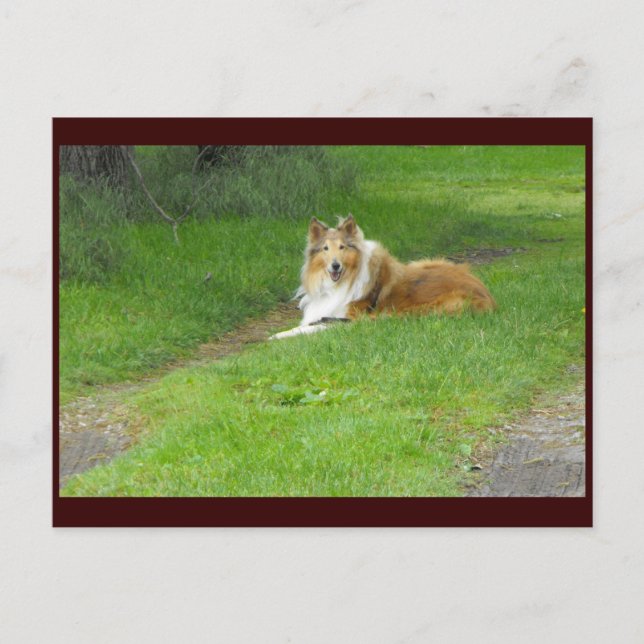 ~ Spring 46 ~ Postcard (Front)