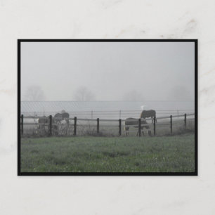 ~ Spring 79 ~ Postcard