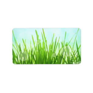 Spring Abstract Nature Background Label