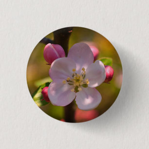 Spring Apple Blossom 1 Inch Round Button