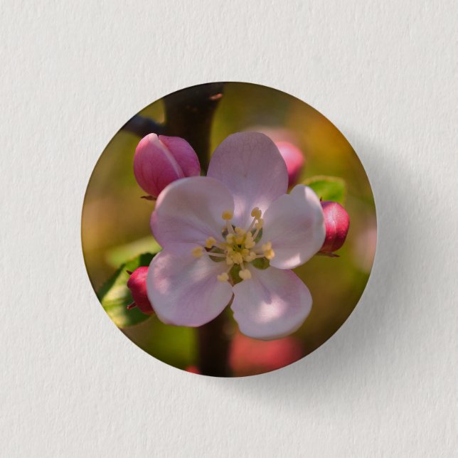 Spring Apple Blossom 1 Inch Round Button (Front)