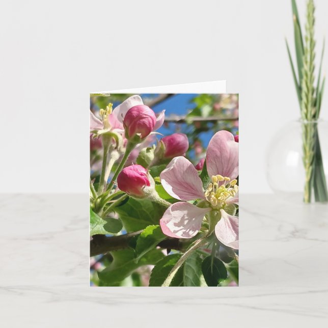 Spring Apple Blossoms Note Card (Front)