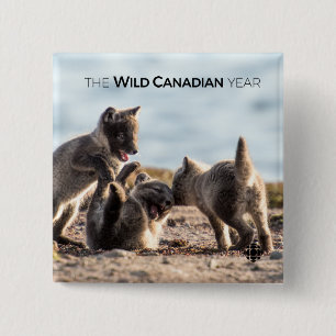 Spring - Arctic Fox 2 Inch Square Button