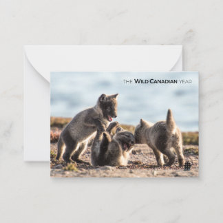 Spring - Arctic Fox Card