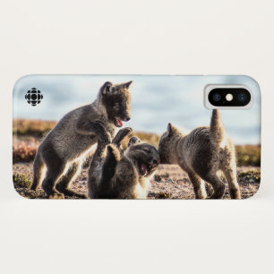 Spring - Arctic Fox iPhone X Case