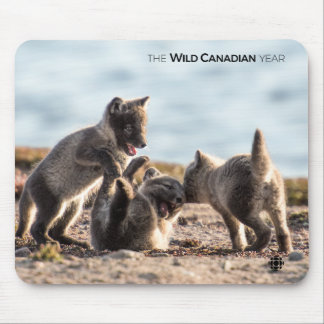 Spring - Arctic Fox Mouse Pad