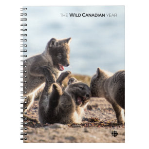 Spring - Arctic Fox Notebook