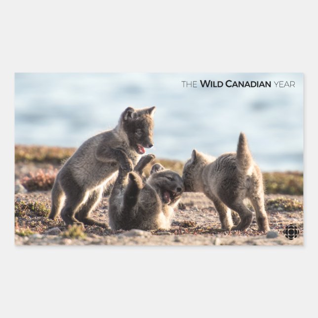 Spring - Arctic Fox Sticker (Front)