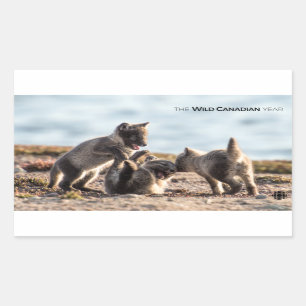 Spring - Arctic Fox Sticker