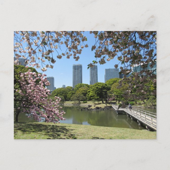 Spring at Hama-rikyu Gardens: Tokyo Postcard (Front)