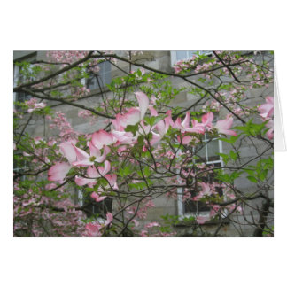 Spring at Swarthmore College