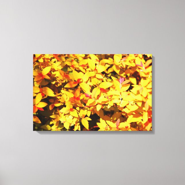 Spring at the Arboretum 6 Canvas Print (Front)