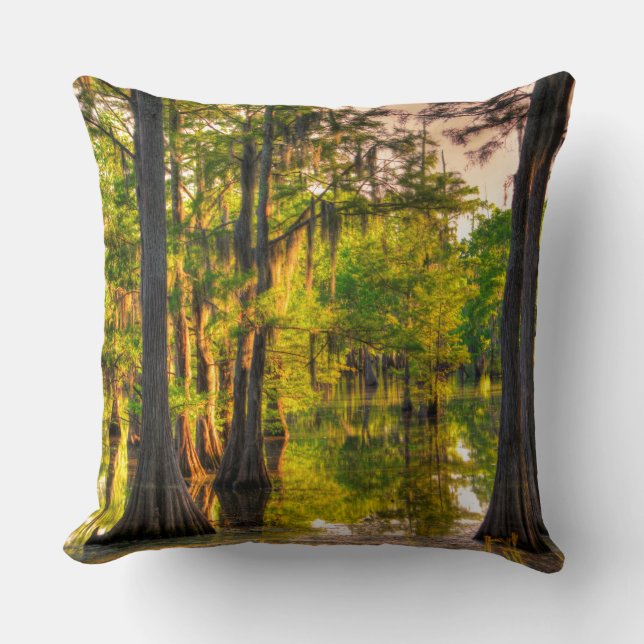 Spring At The Bayou Throw Pillow (Front)