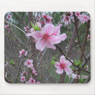 Spring at the farm, DJ 06 Mouse Pad