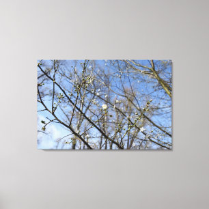 Spring awakening canvas print