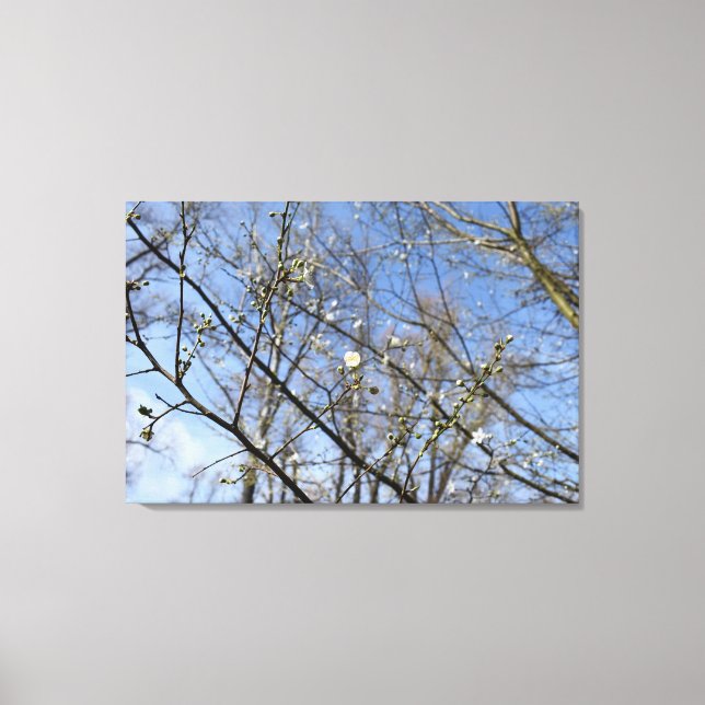 Spring awakening canvas print (Front)
