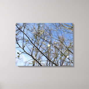 Spring awakening canvas print