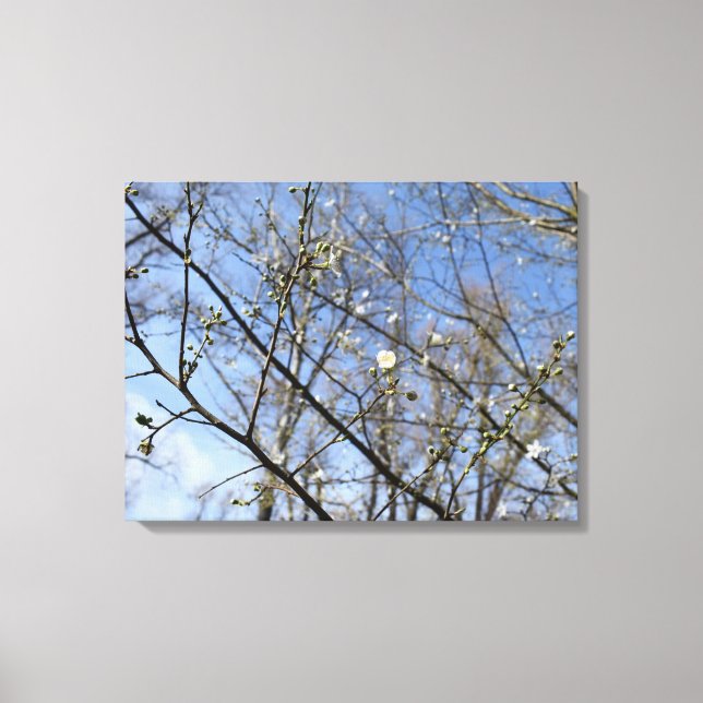 Spring awakening canvas print (Front)