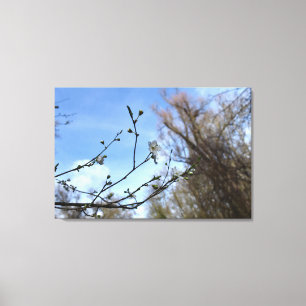 Spring awakening canvas print
