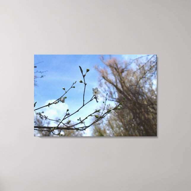 Spring awakening canvas print (Front)