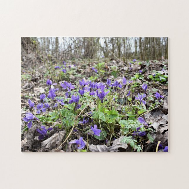 Spring awakening , forest flowers , March violets Jigsaw Puzzle (Horizontal)