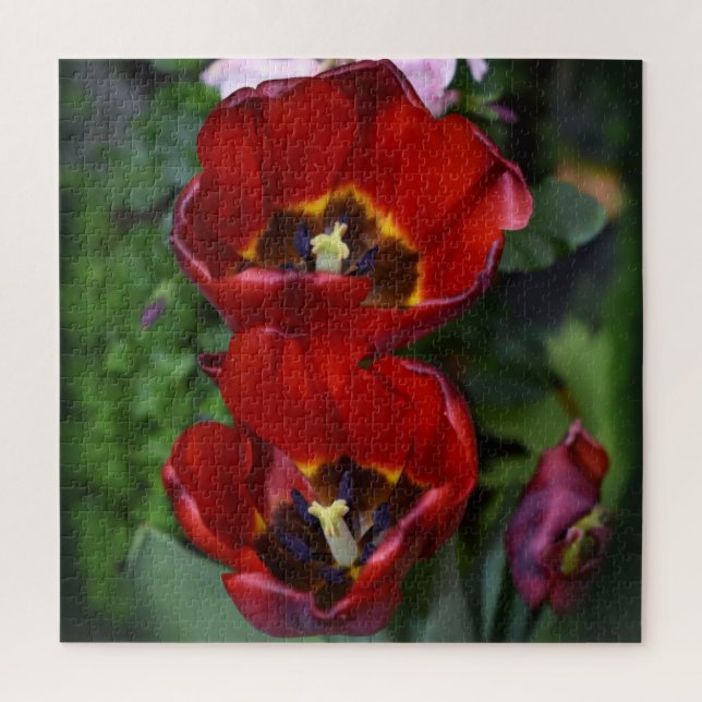 Spring awakening , Tulips Jigsaw Puzzle (Vertical)