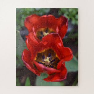 Spring awakening , Tulips Jigsaw Puzzle