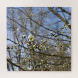 Spring awakening , wild cherry bloom jigsaw puzzle