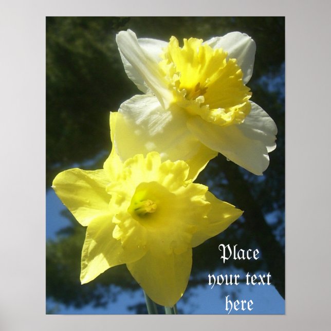 Spring Beautiful affodils customizable poster (Front)