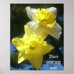 Spring beautiful daffodils customizable poster