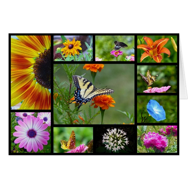 Spring Beauty (Front Horizontal)