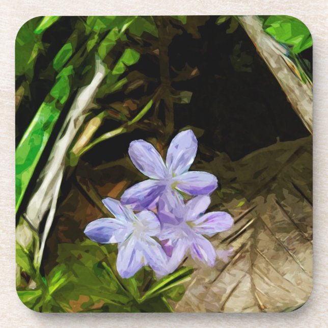 Spring Beauty a Purple Wildflower Abstract Coaster (Front)