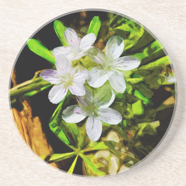 Spring Beauty a Purple Wildflower Abstract Coaster (Front)