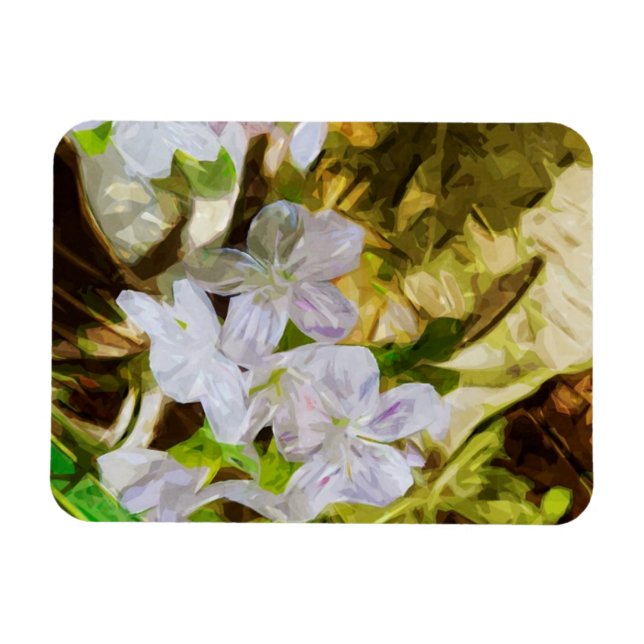 Spring Beauty a Wildflower Abstract Impressionism Magnet (Horizontal)