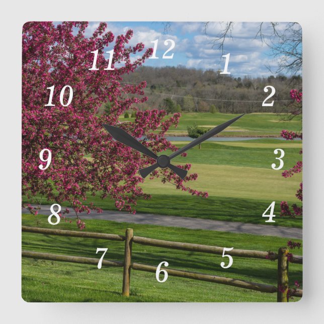 Spring Beauty At Rivercut Wall Clock (Front)