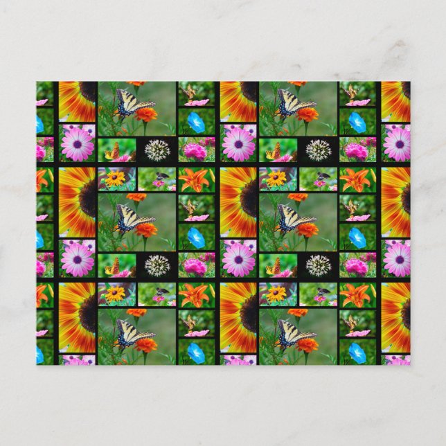 Spring Beauty Collage Postcard (Front)