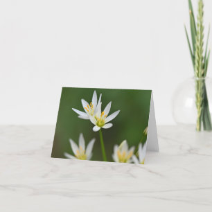 Spring Beauty  Folded Thank You Card