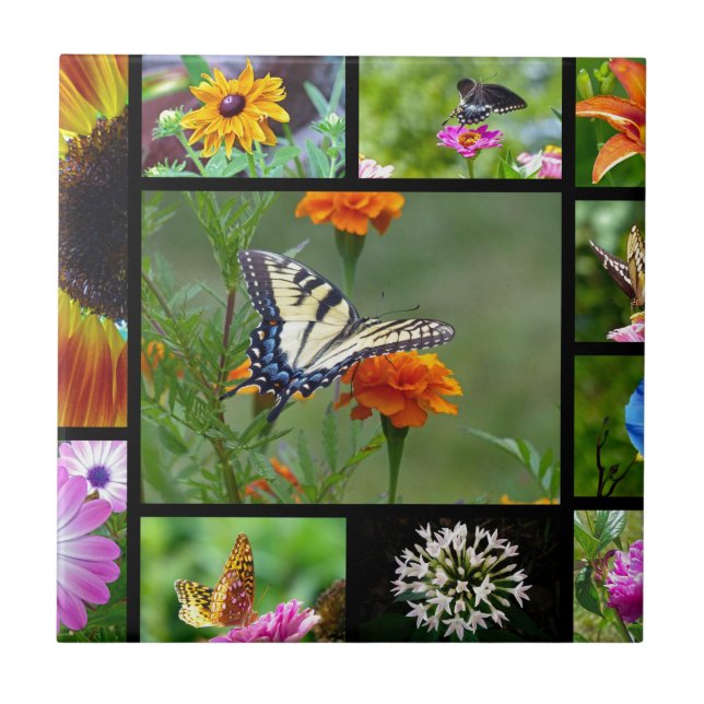 Spring Beauty Tile (Front)